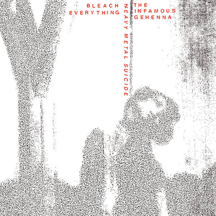 (image for) Bleach Everything / The Infamous Gehenna - Split 7 inch (White)