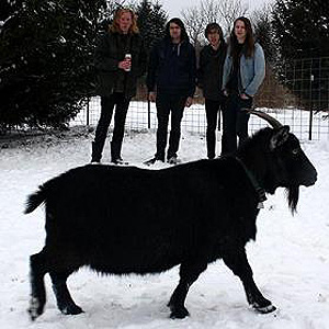 (image for) Rational Animals - Bock Rock Parade LP